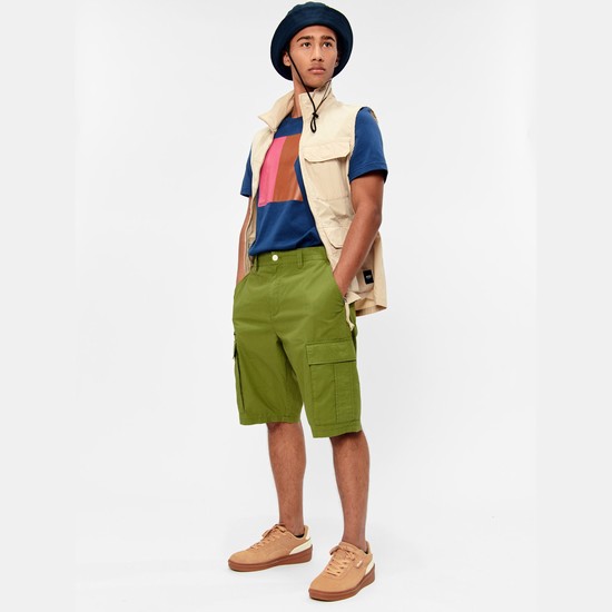 Aigle Bermuda Shorts Men Green ZA-60548